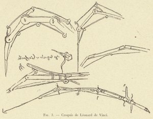 Croquis de Leonardo da Vinci