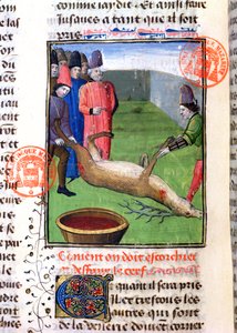 Cortando las patas de un ciervo muerto, del Livre de la Chasse de Gaston Phebus de Foix (1331-91) de French School