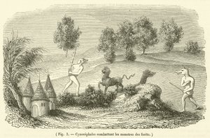 Cinocefalos combatiendo monstruos del bosque de French School