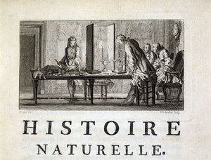 Disección de los animales - en “Histoire naturelle, générale et particulière” de Buffon