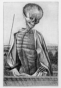 Doctor Muerte, de un Libro de Horas, ilustración de Ciencia y Literatura en la Edad Media y el Renacimiento, escrito y grabado por Paul Lacroix, 1878 de French School