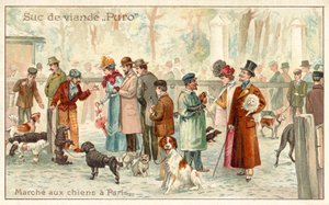 Mercado de perros, París de French School