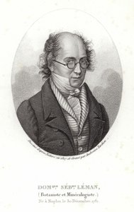 Dominique Sebastion Leman de French School