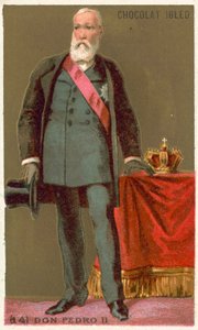 Don Pedro II, Emperador de Brasil de French School