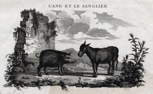 Burro y jabalí. Fábula de Esopo. (Escritor griego Esopo, siglo VI a.C.) Escrito por Guillaume Montfort y grabado por Beauble en 1801. de French School