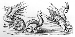 Dragones de French School