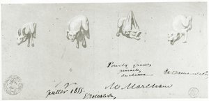 Dibujo para la restauración de las gárgolas de Notre Dame, 1855