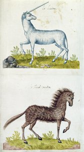 Dibujos de un unicornio y un caballo salvaje de French School