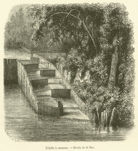 Escalera para salmones de French School