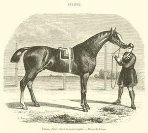 Eclipse, famoso caballo de carreras inglés de French School