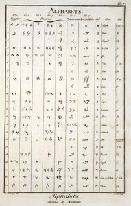 Alfabetos egipcio, fenicio, palmireño y hebreo de French School