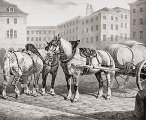 Caballos de Granja Ingleses, 1823