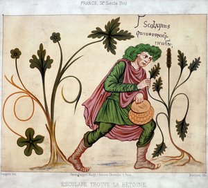 Esculapus encuentra el betoneum (planta medicinal) de French School