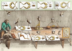 Experimento en ranas, ilustración de De viribus electricitatis in motu muscumari