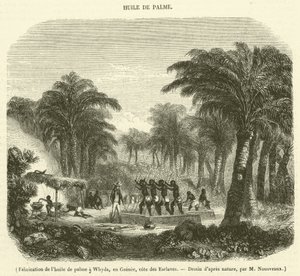 Fabricación de aceite de palma en Whyda, en Guinea, costa de los Esclavos