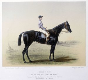 Famoso caballo de carreras - en “El Centauro” 1866 de French School