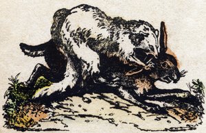Hurón. Grabado en "Alfabeto de animales salvajes". 9ª Serie. Imágenes de Epinal, Pellerin, impresor-editor, circa 1870. Grabados en madera, estarcidos. 16 páginas. Dim: 20 x 15 cm. Colección privada de French School