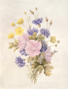 Flores del campo, 1842 de French School
