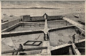 Piscicultura en Concarneau - Bretaña - Establecimiento de piscicultura - Concarneau - Finisterre - Bretaña - grabado en “PATRIE” - DESCRIPCIÓN PICTÓRICA DE FRANCIA EN 6 VOLÚMENES POR LUCIEN HUARD - finales del siglo XIX