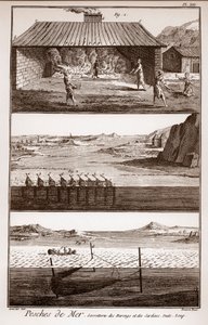 Pesca, arenques y sardinas - “La Gran Enciclopedia, o Diccionario Razonado de las Ciencias, las Artes y los Oficios” por Denis Diderot de French School
