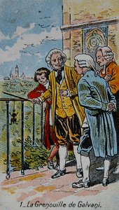 La rana de Galvani, ilustración de una serie de tarjetas sobre las 