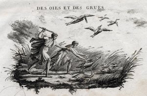 Gansos y grullas - Fábula de Esopo (Escritor griego Esopo, siglo VI a.C.) Escrito por Guillaume Montfort y grabado por Beauble en 1801. de French School