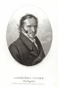 George Cuvier de French School