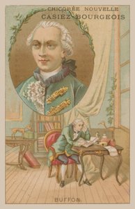 Georges-Louis Leclerc, Conde de Buffon, científico y escritor francés del siglo XVIII de French School