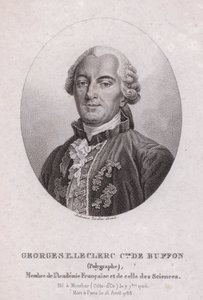 Georges-Louis Leclerc, Conde de Buffon, científico y escritor francés (grabado) de French School
