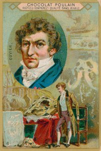 Georges Cuvier de French School