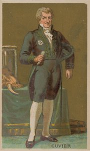 Georges Cuvier, naturalista y zoólogo francés (1769-1832) de French School