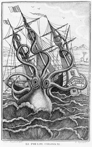 Pulpo gigante, ilustración de L