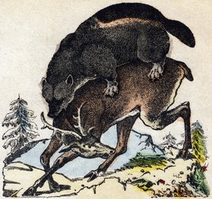 Glotón. Grabado en "Alfabeto de los animales salvajes". 9ª Serie. Imágenes de Epinal, Pellerin, impresor-editor, circa 1870. Grabados en madera, estarcidos. 16 páginas. Dim: 20 x 15 cm. Colección privada de French School