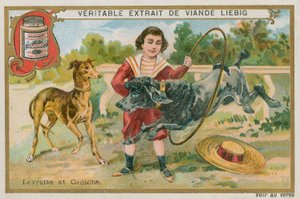 Galgo y caniche de French School