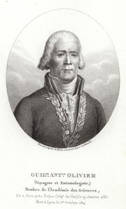 Guillaume Antoine Olivier de French School