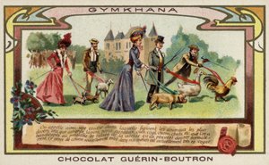 Gymkhana de French School