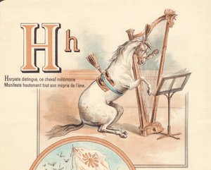 H: Arpista distinguido, este caballo melómano manifiesta altamente todo su desprecio por el burro