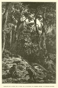 Habitantes de Grecia, Suiza, Provenza, en los primeros siglos de la época pliocena de French School