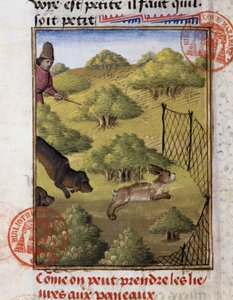 Caza de liebres - en "Libro de Caza de Gaston Phoebus, Conde de Foix, Señor de Béarn"