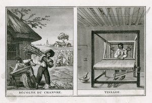 Cosecha y tejido de cáñamo de French School