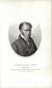 Henri Cassini de French School