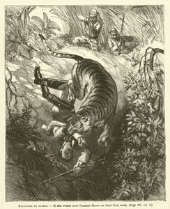 Historias de Tigres de French School