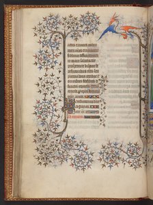 Horas de la Virgen, Libro de Horas, Add MS 32454 f.37v, Francia de French School