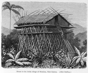 Casa en el pueblo Arfak de Memiwa, Nueva Guinea, de 