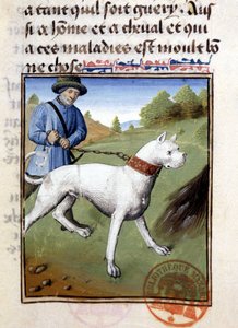 Perro de caza sostenido con una correa - en "Libro de Caza de Gaston Phoebus, Conde de Foix, Señor de Béarn" de French School