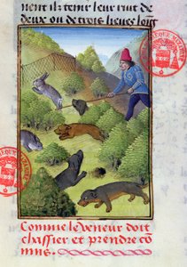 Cazando conejos con perros y redes, del Libro de la Caza por Gaston Phebus, principios del siglo XV