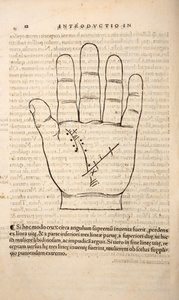 Ilustración de Chiromantia por Joannes Indagioe, Estrasburgo, 1531 de French School