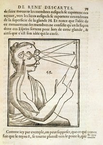 Ilustración de De Homine Figuris por René Descartes (1596-1650) publicada en La Haya, 1662 de French School