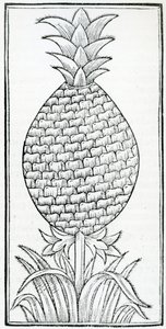 Ilustración de 