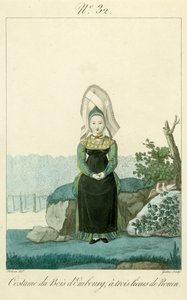 Ilustración nº 32, Traje del Bois d